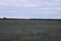 #2: На восток / Facing East