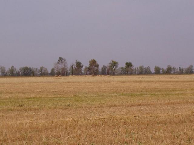 Looking from the confluence South.