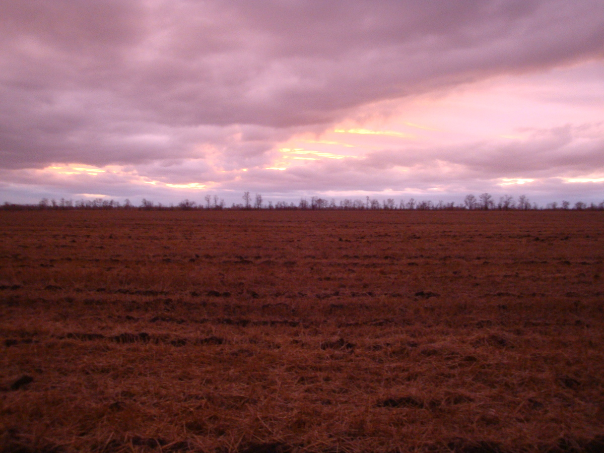 На запад / West view