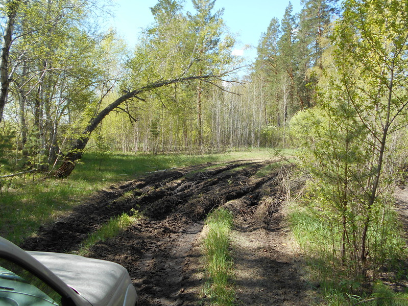 Вид в сторону пересечения / View towards CP