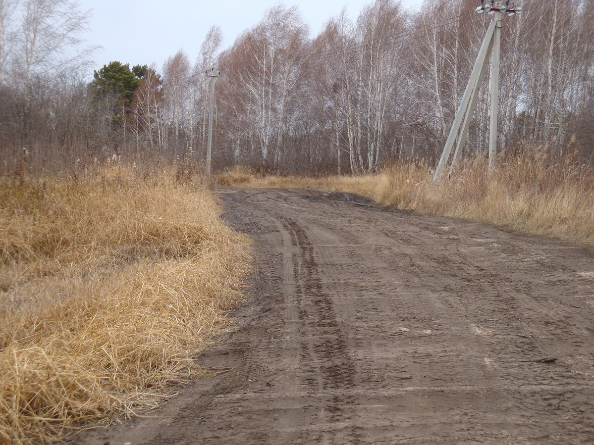 Дорога по гати / The road over swamp