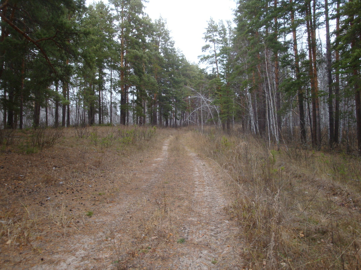 Место парковки / Parking site