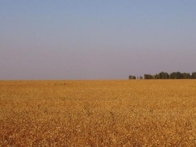 View from CP to the North