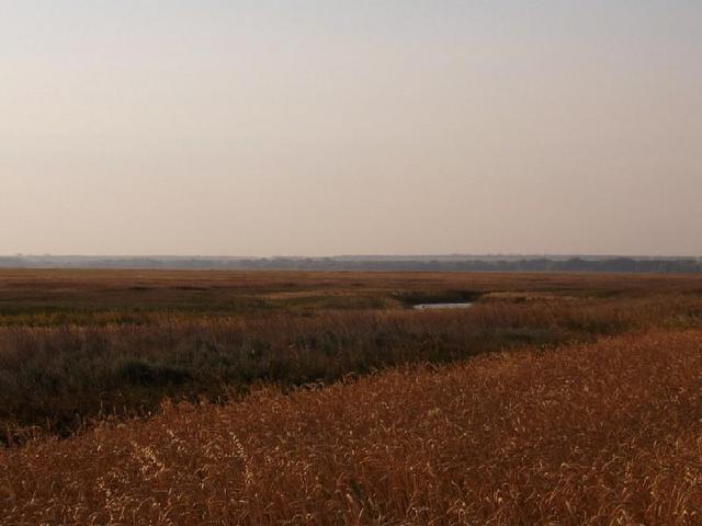 View from CP to the West.