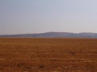 #1: Looking from the confluence North.