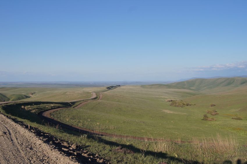 Дорога в Белокуриху / The road to Belokurikha