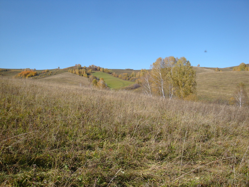 На Запад/West view