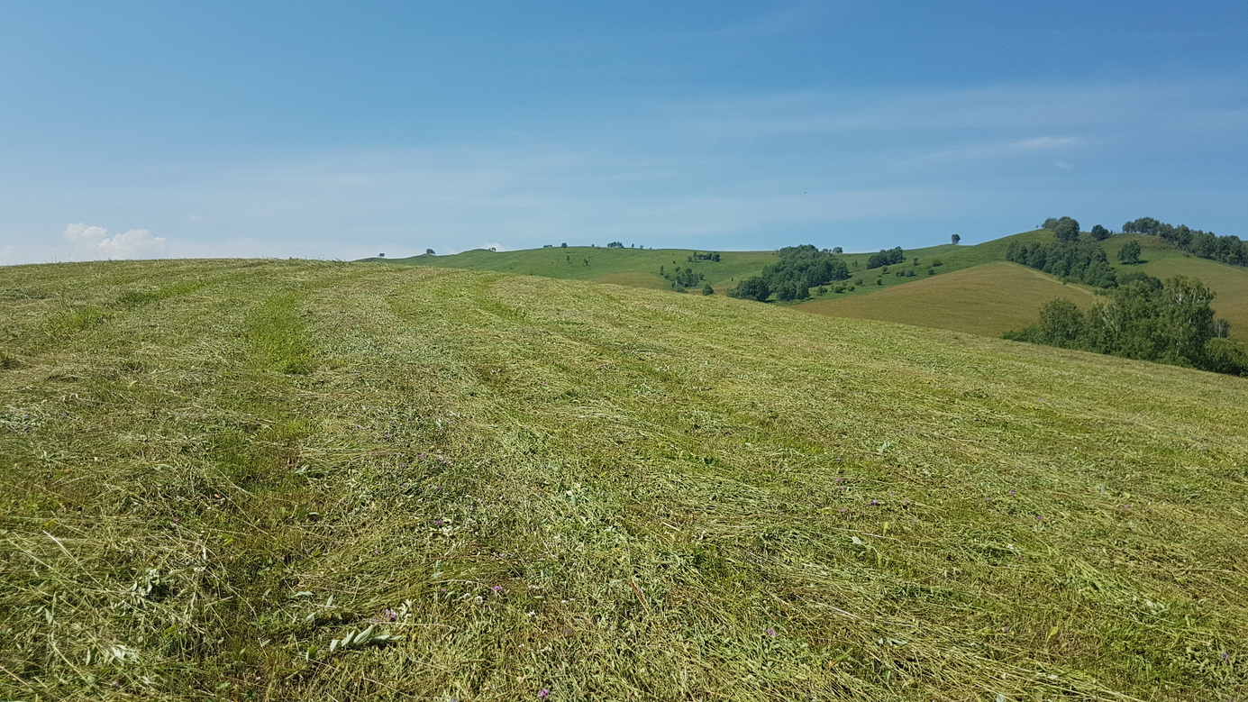 #4 West: mown meadows at hill of the Stamovoy range