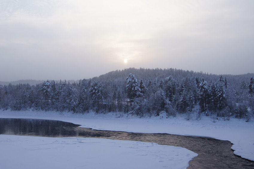 Вид от Верх-Бийска и реки Бия в сторону пересечения/Towards the confluence from Verkh-Biysk and Biya river