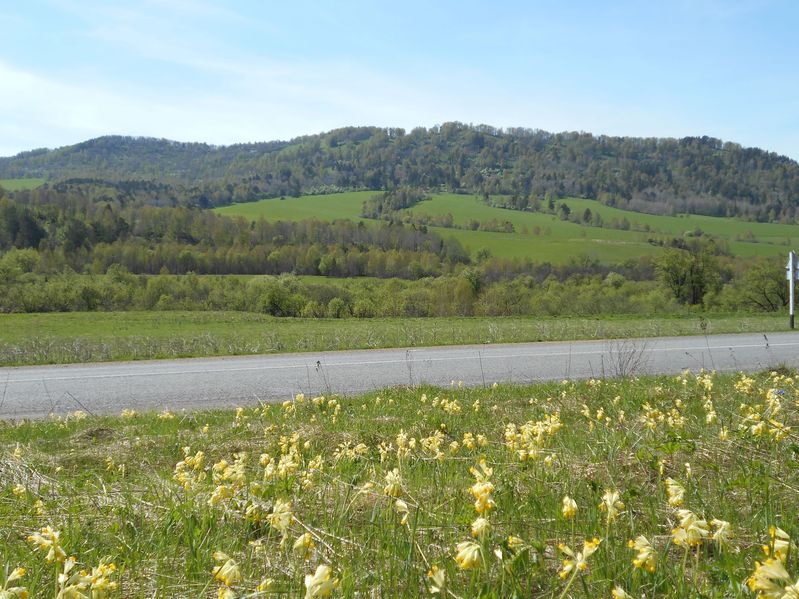 Весенний Горный Алтай / Altay Mountains in the spring