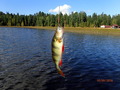 #10: Fishing on the lake