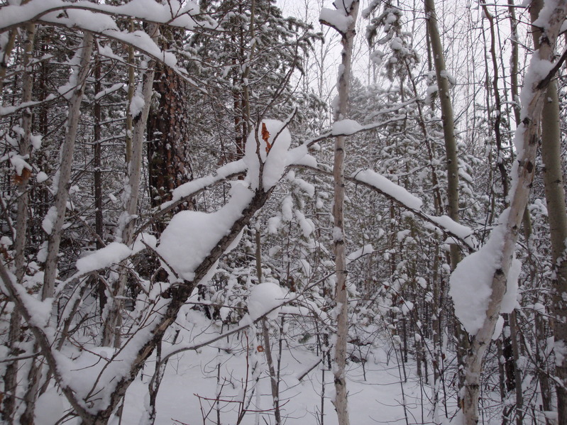 На Восток/To the East