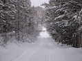 #9: Повезет ли выбраться из зимней сказки?/Could I get out from winter Fairyland?