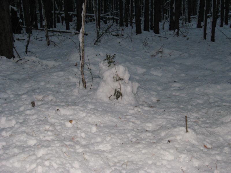 Спи, ёлочка, бай, бай!/Sleep, my little Christmas tree!