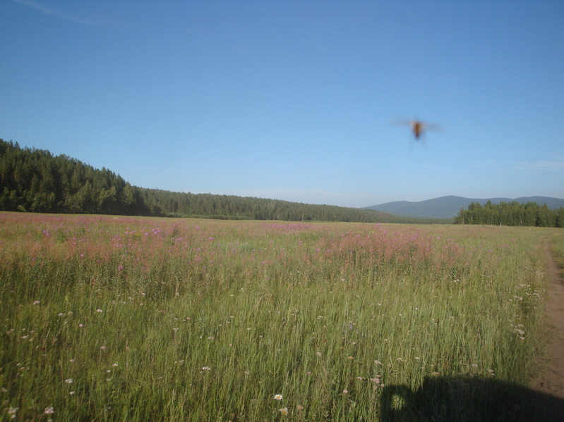 Прямо за живописными лугами цель/Confluence behind the meadows