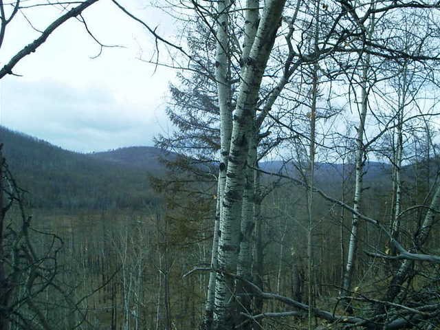 Вид на запад / West view