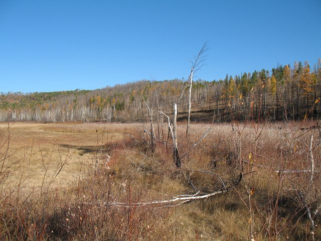 Вид на Север/North view