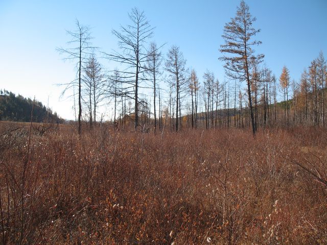 Вид на Юг/South view