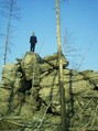 #7: A rock