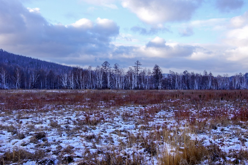 На Запад/Looking West