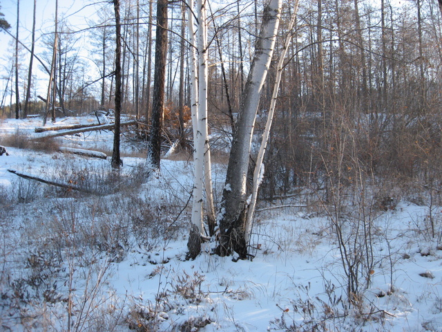 Общий вид/General view