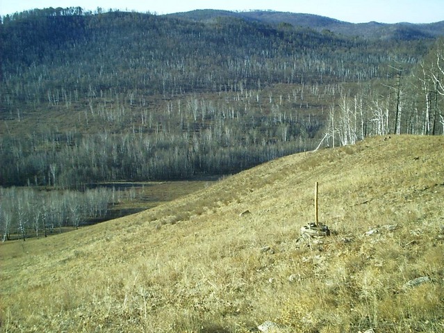 Общий вид / General view