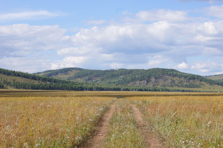 Вид в сторону пересечения / Towards confluence