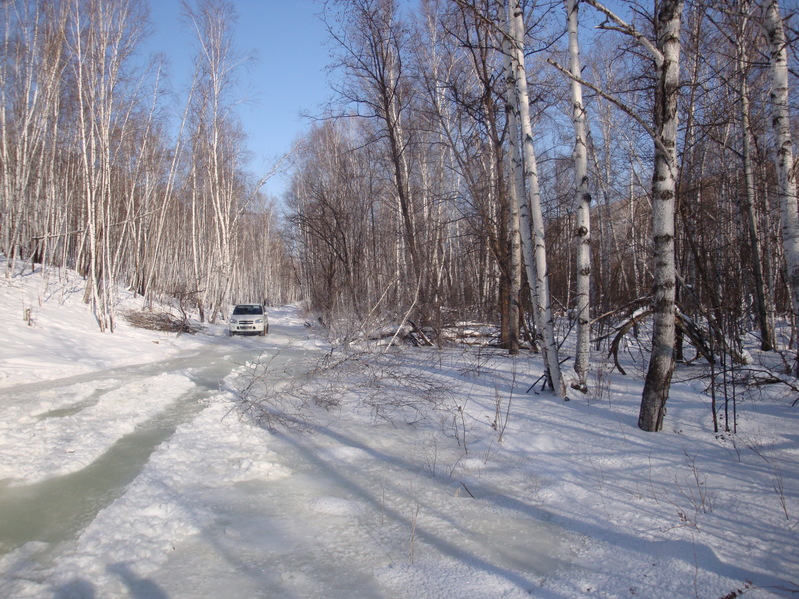 Лесовозная дорога/Timber-lorry path