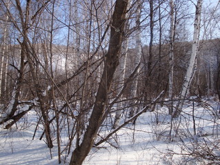 #1: Вид на точку/View towards the confluence