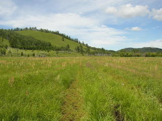 #1: Северное направление. Точка там/The confluence is over there (to the north)