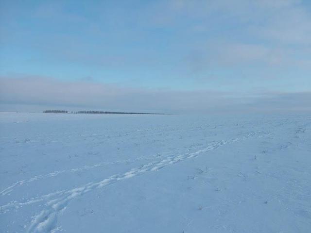 вид на север / view to the north