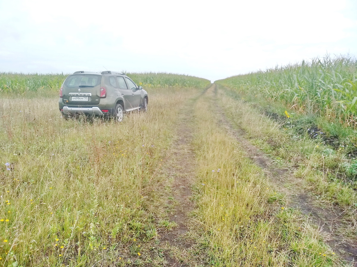 Parking at the corn / Парковка в кукурузе