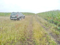 #10: Parking at the corn / Парковка в кукурузе