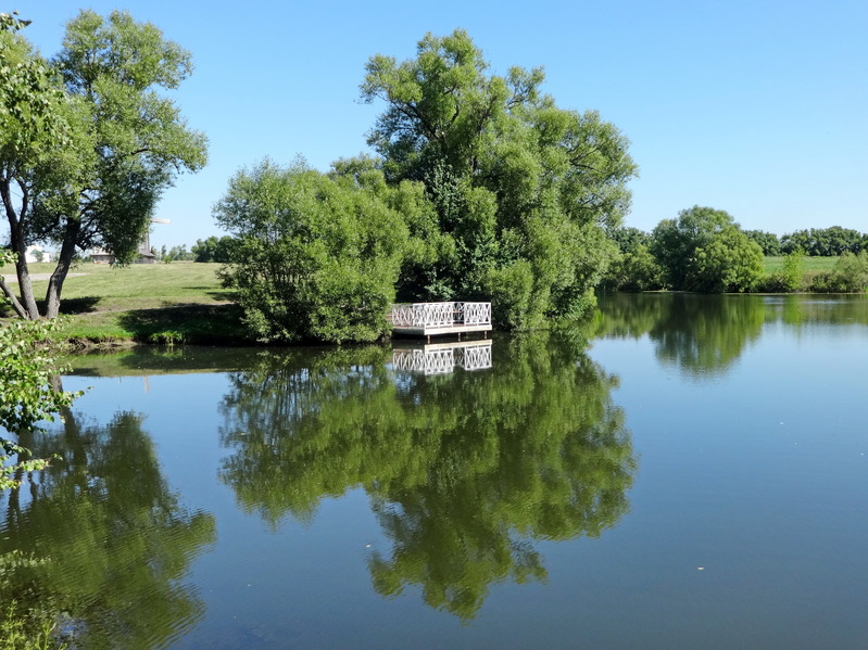 Pond in Tarkhany