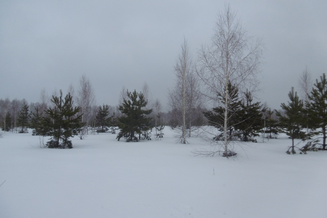 Вид на север / View to north