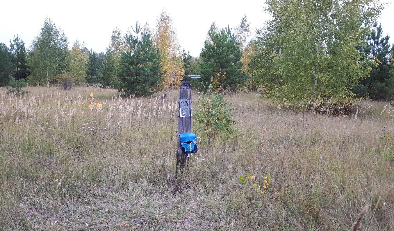 Общий вид / General view