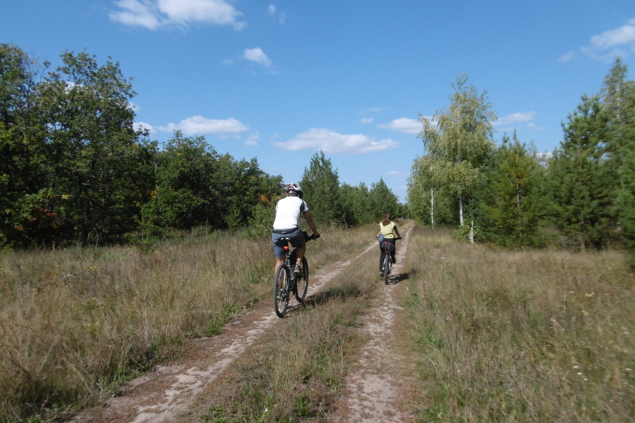 Дорога к точке конфлюэнции / A road to the CP