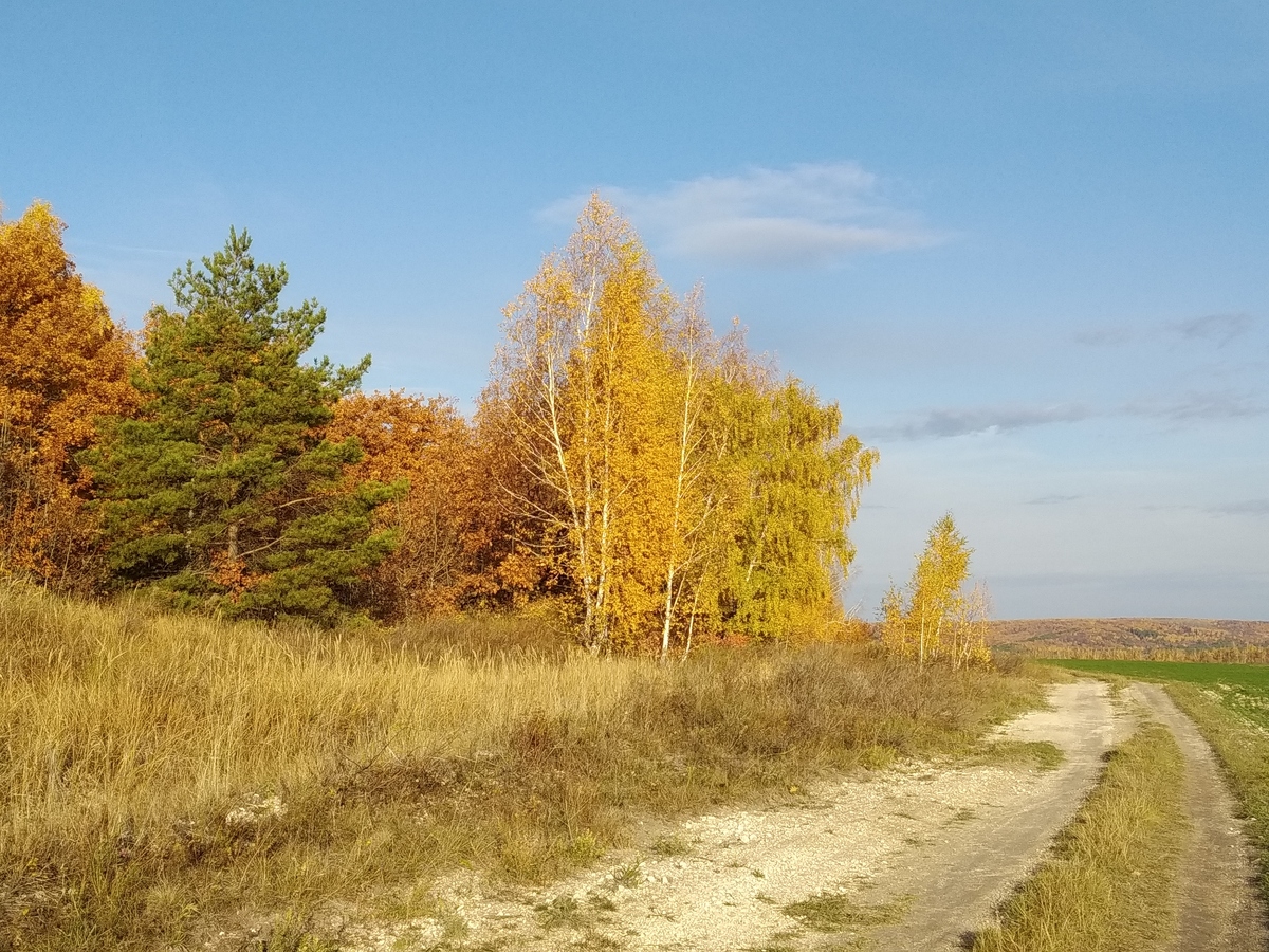 Октябрьское утро / October morning