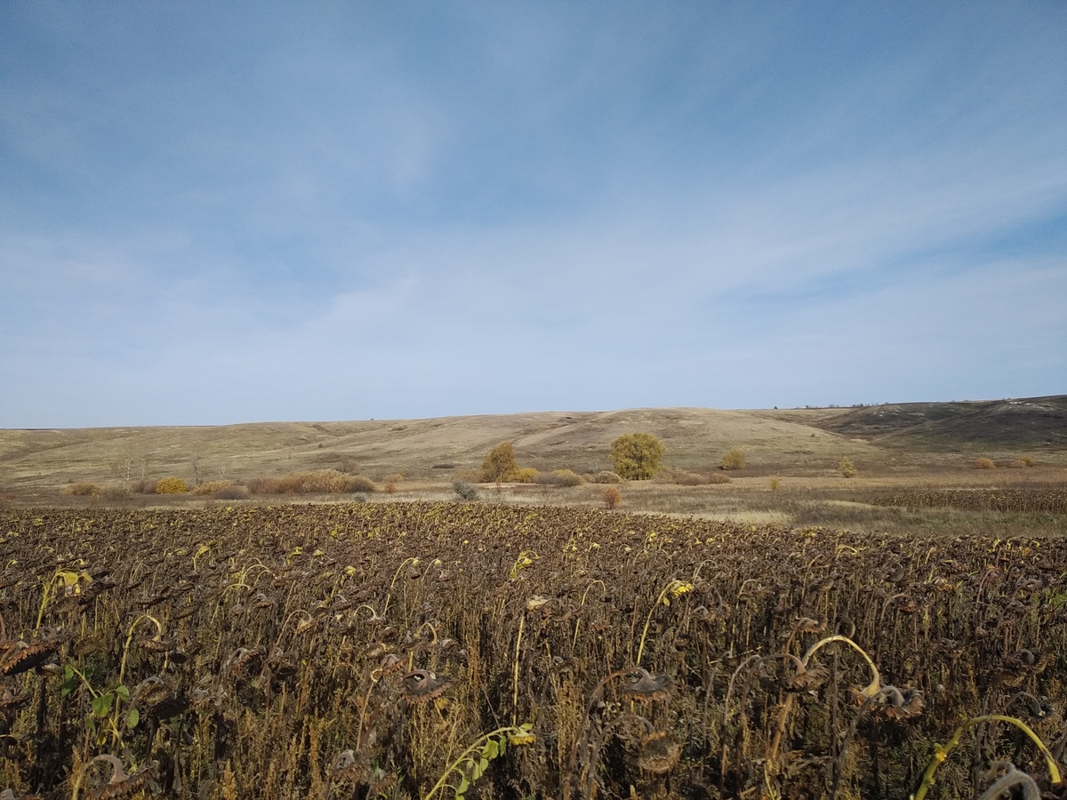 Вид на север / View to north