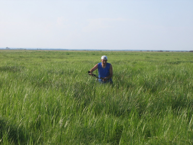 Through a bog