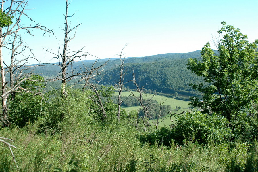 South-West view 1 (между дорогой и спуском к реке)