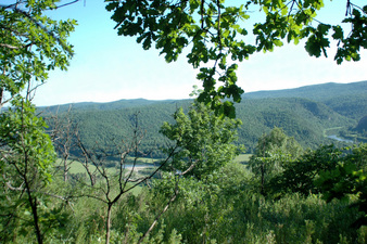 #1: General view from the confluence (South-west sector)