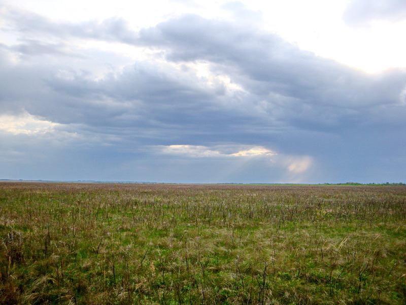 На запад / Facing west