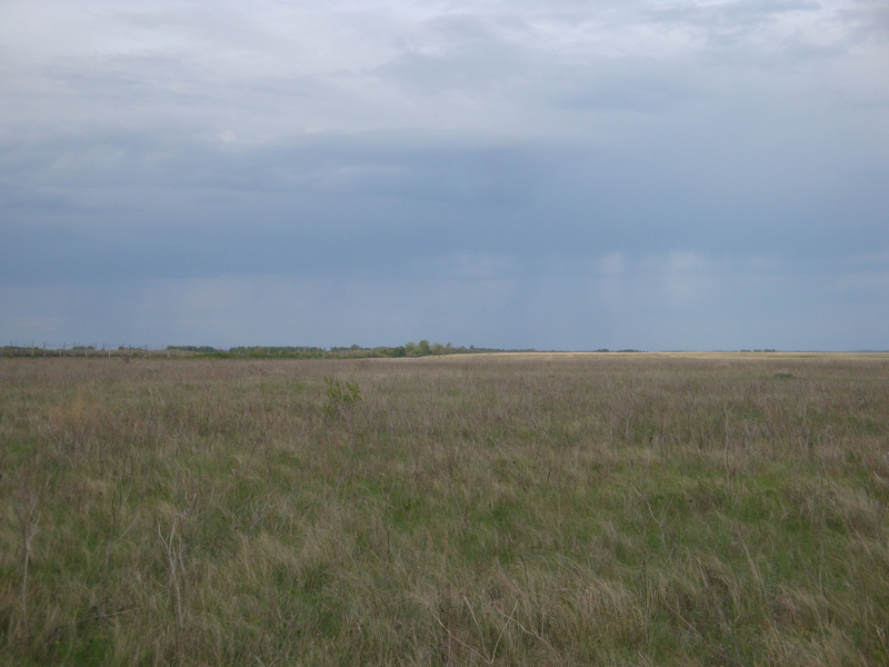 На восток / Facing east