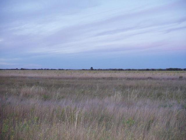 View from CP to the South.