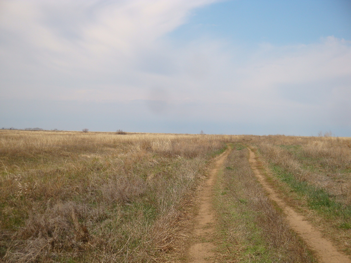 Полевая дорога / Field road