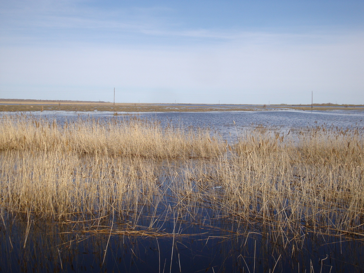 Вид в сторону СР с объездной дороги  / Confluence view from bypass road