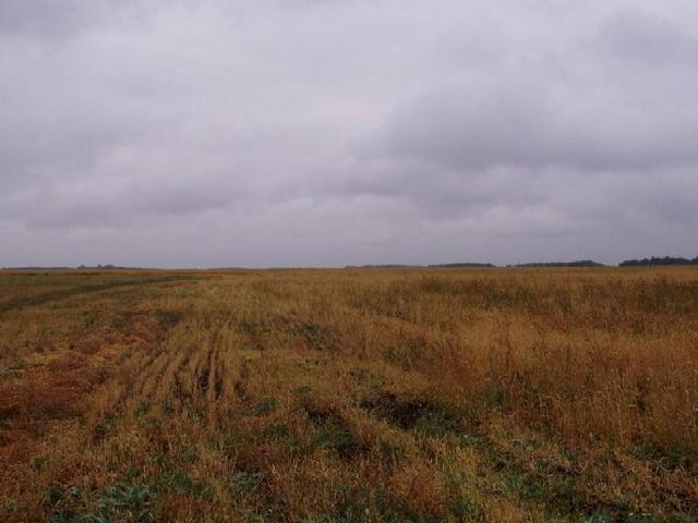 Looking from the confluence South.