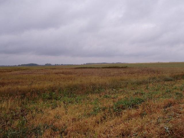 Looking from the confluence East.