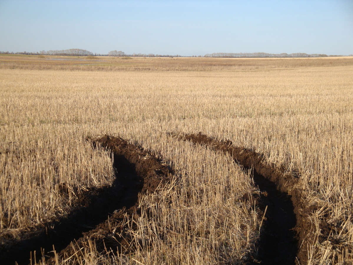 Опасно, земля сырая / Wet soil is a kind of danger